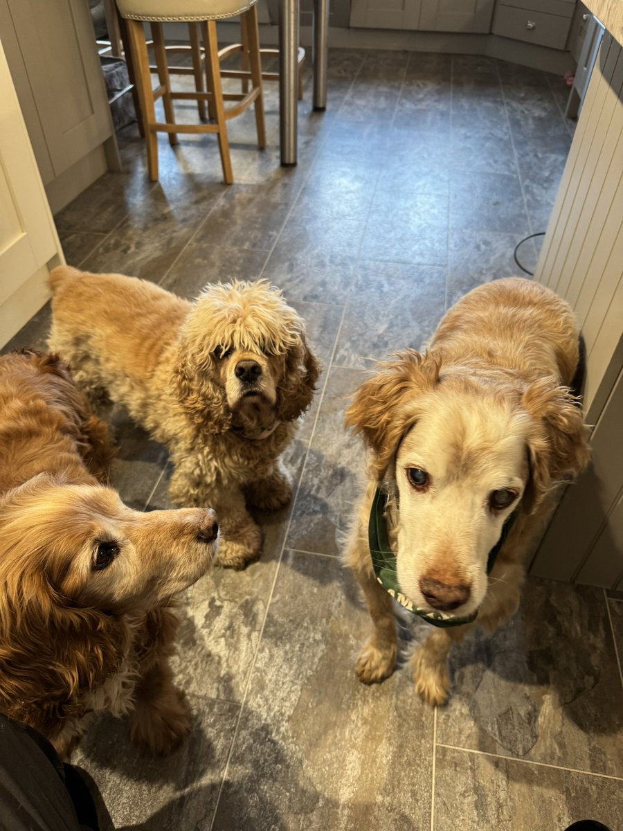 We’re waiting by the fridge
Mum seems to have forgotten about the #TabletQueue 
#HelpfulReminder 
#ComeOnMum
