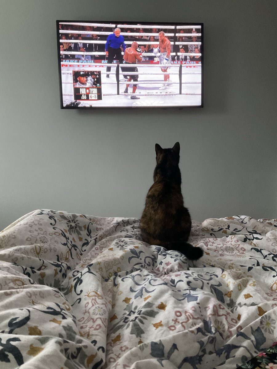 Claire Rice tweet media