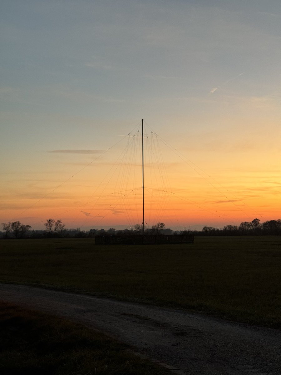 Romina Golfam Batebi tweet media