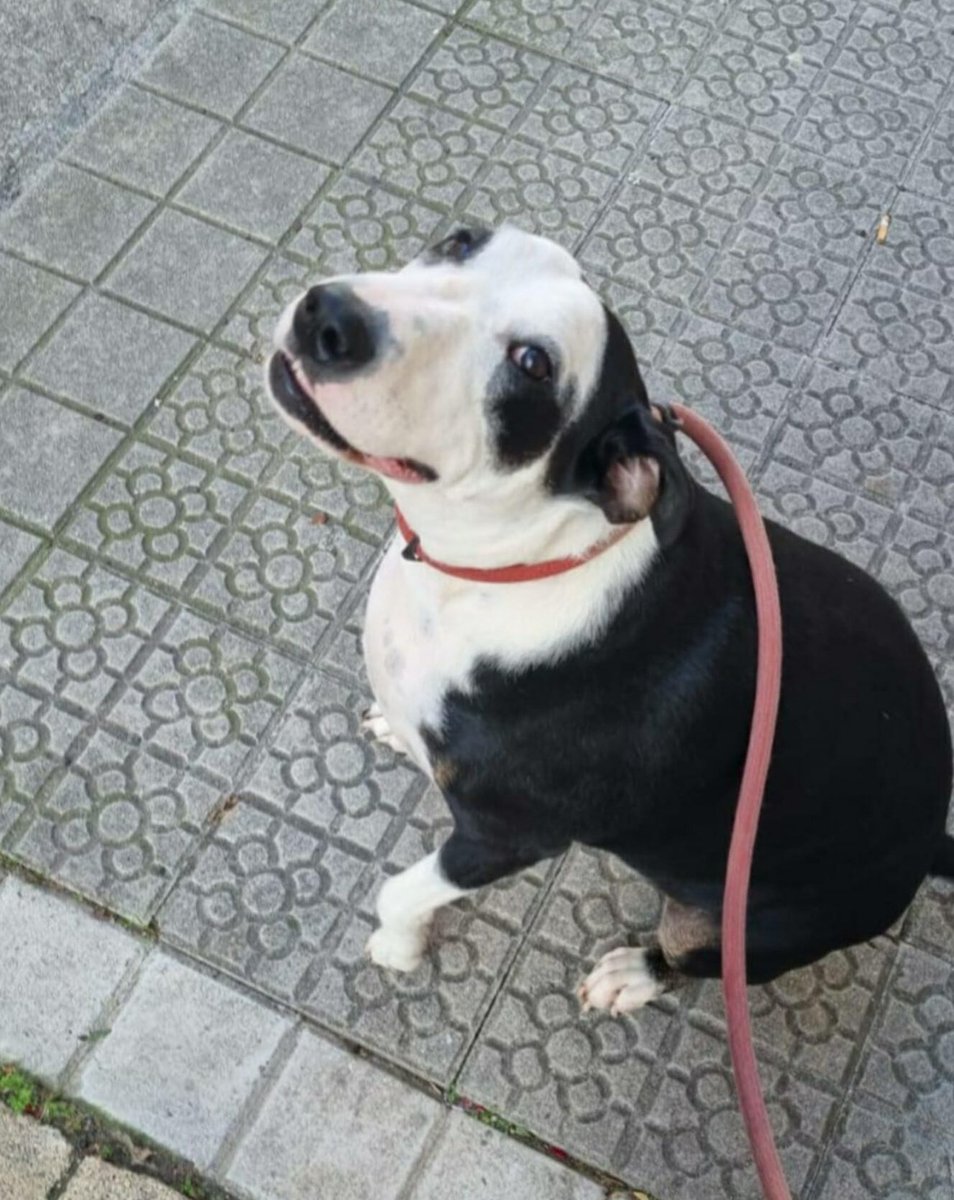 Egun on humanos😘😘🐼✊️