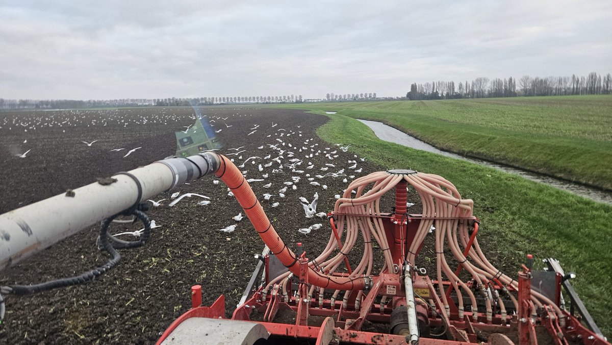 Seizoen 2024 is klaar. Bieten gerooid en tarwe erin.