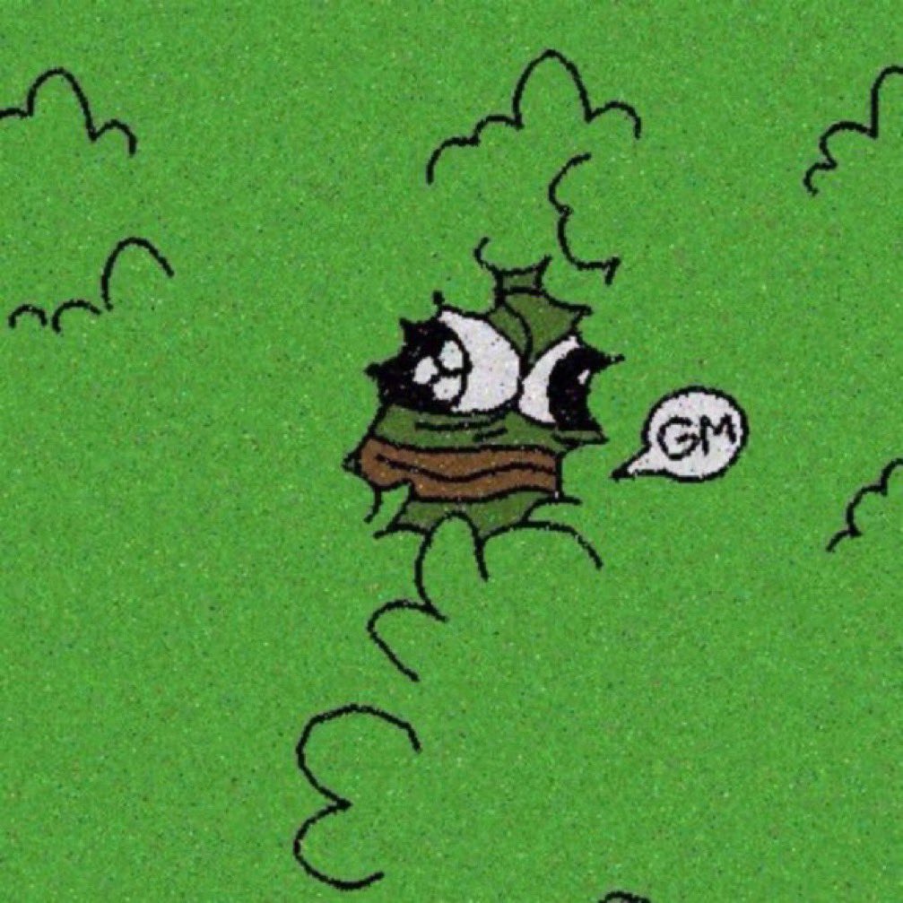 - Good morning to every $PEPE holder who says it back.

GM! 🐸