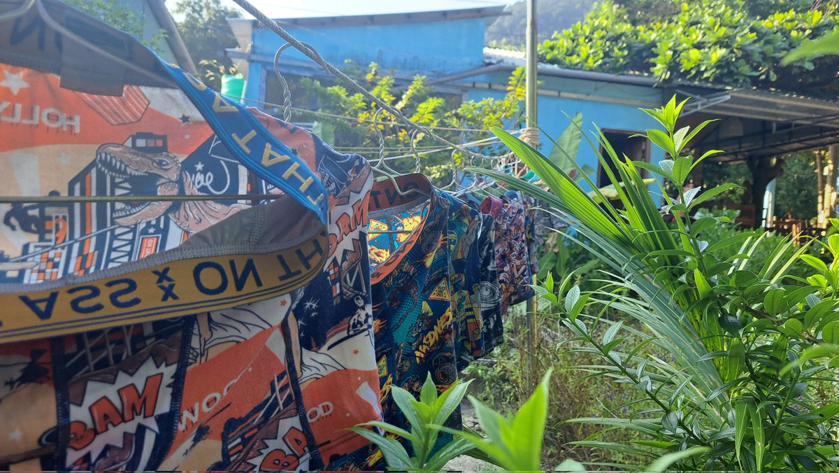 Emma Wyatt tweet media