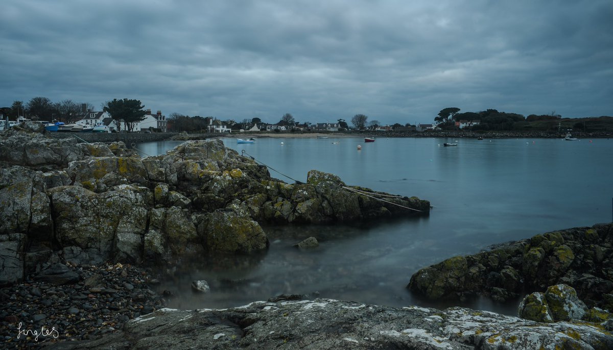 Jess is a Wanderer tweet media