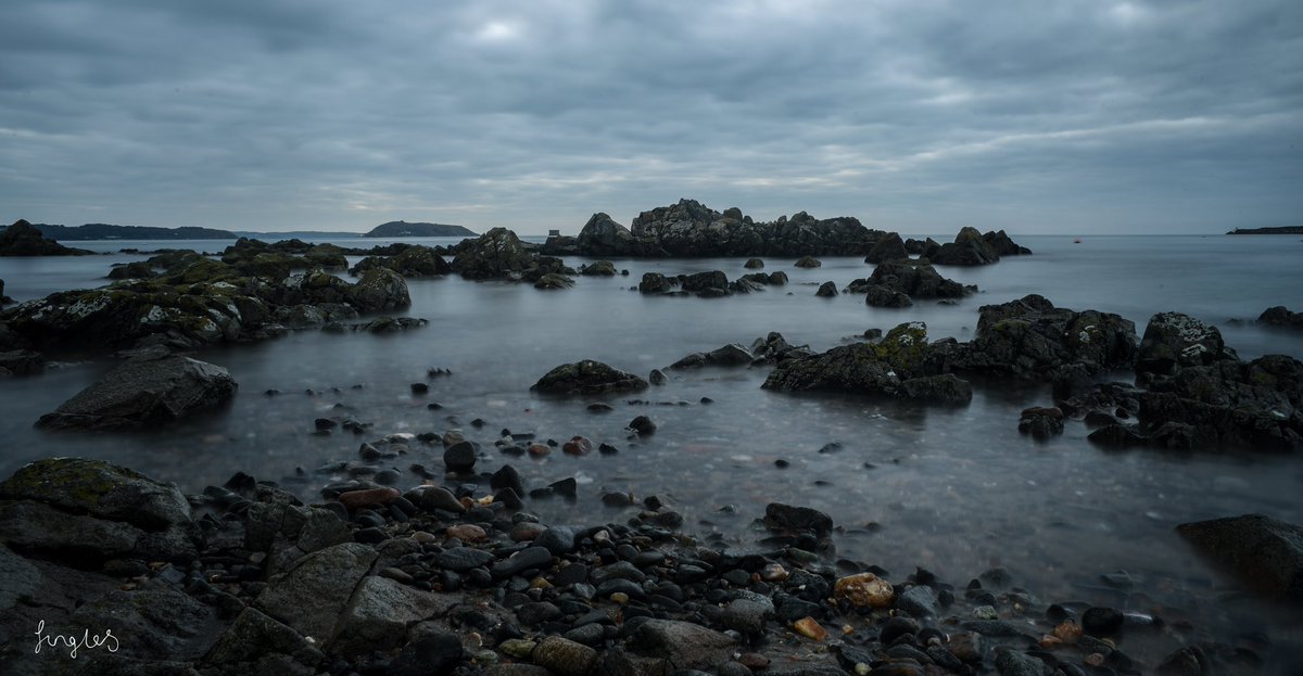 Jess is a Wanderer tweet media