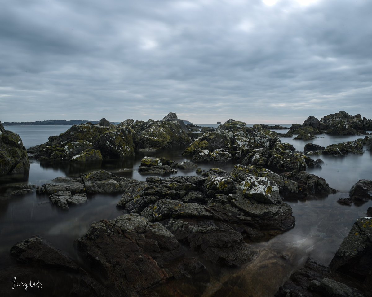 Jess is a Wanderer tweet media