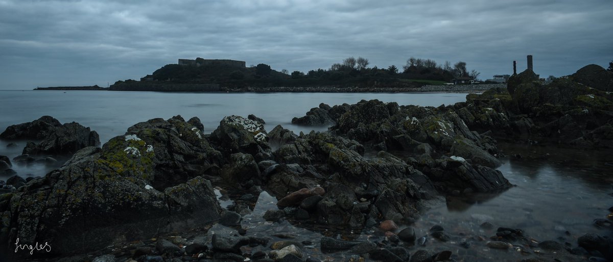 Jess is a Wanderer tweet media