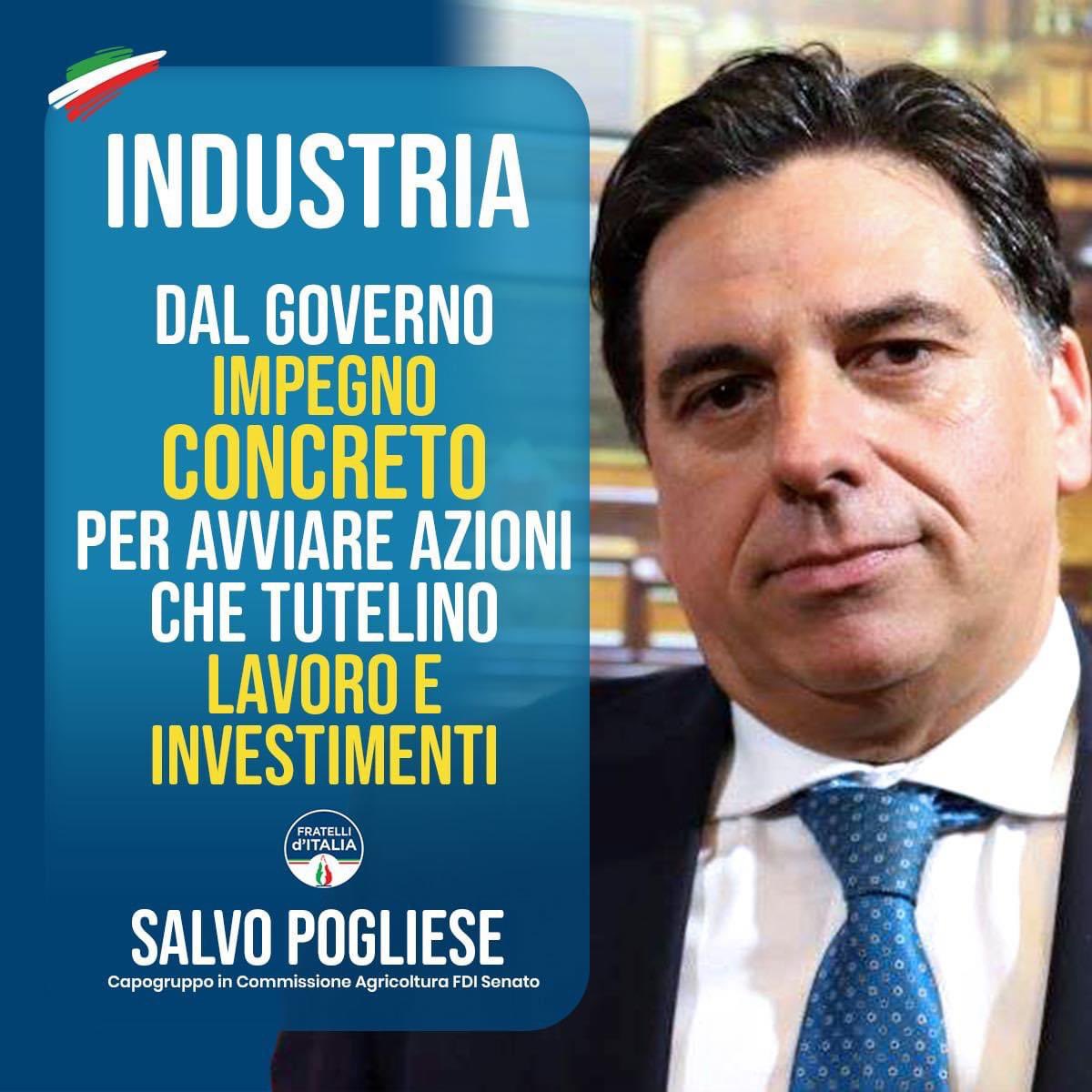 FDI Parlamento (@fdi_parlamento) on Twitter photo Salvo Pogliese 🔵 Dal Governo #Meloni impegno concreto per le #imprese.
#fratelliditalia <a href="/FratellidItalia/">Fratelli d'Italia 🇮🇹</a> Salvo Pogliese 🔵 Dal Governo #Meloni impegno concreto per le #imprese.
#fratelliditalia <a href="/FratellidItalia/">Fratelli d'Italia 🇮🇹</a>