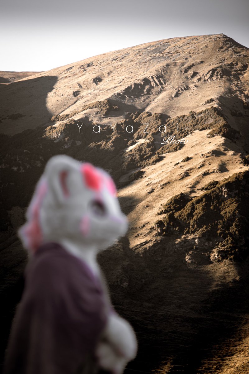#FursuitEveryday  #FursuitsFriday 
过了毛五才想起来发毛五～
去了川西！这次找了毛替～@时爅
📷：<a href="/YaYaZaiOvO/">牙牙仔🌸</a>