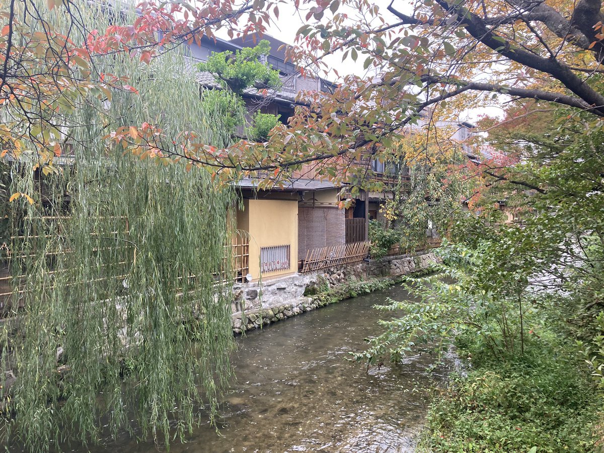 hatchgionbc's tweet photo. 文学スナック『#懶惰』@gion_randa 扉外『#京都 #祇園 文学間借り店』には、16日現在『#つひまぶ』『#ハンケイ500m』『#FASTNER』『#ぴんくりんく』『#凸凹といろ。』『#cycle』『#hesso』『#NAMI通信』『#暖暖松山』最新号を追加設置。⁣
⁣
文学好きな方は是非。⁣ https://t.co/Q5gDJLsgUy