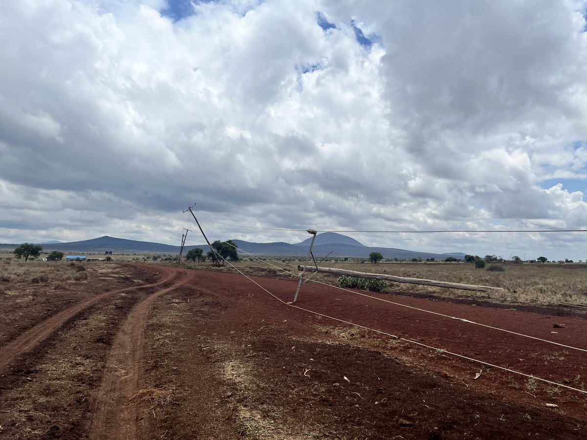 Manasseh Wepundi tweet media