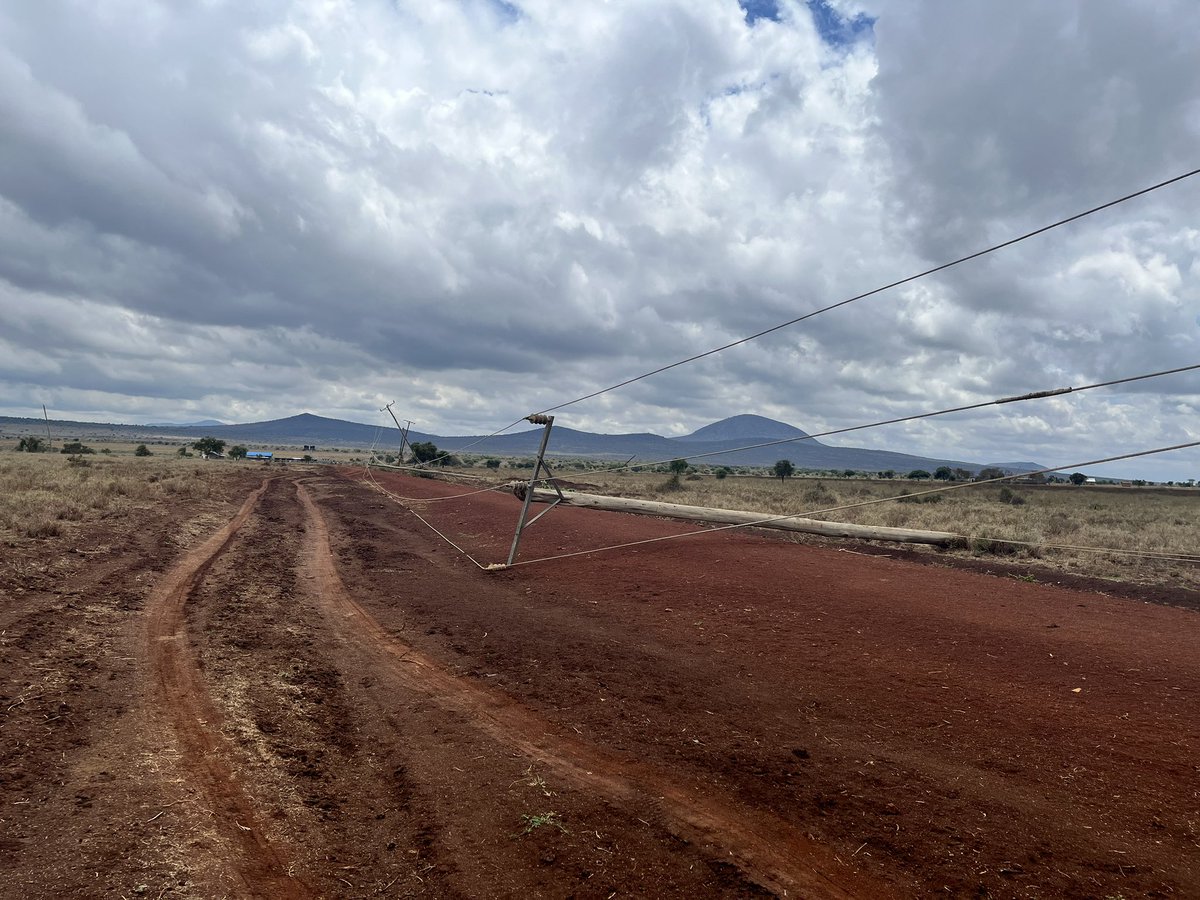 Manasseh Wepundi tweet media