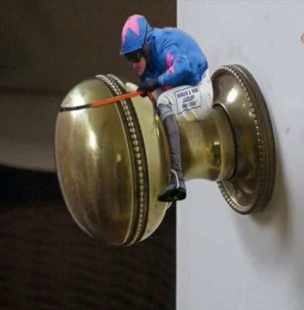 Padraic Hanley tweet media