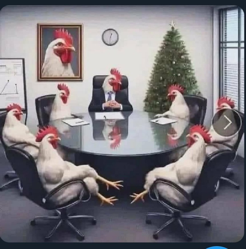 Yumurta fiyatlarını görüşmek üzere kabine toplandı toplantıya başkanlık eden horoz performansta bir sıkıntı olmadığını tavukların fırsatçılık yaptığını ileri sürdü😂😂