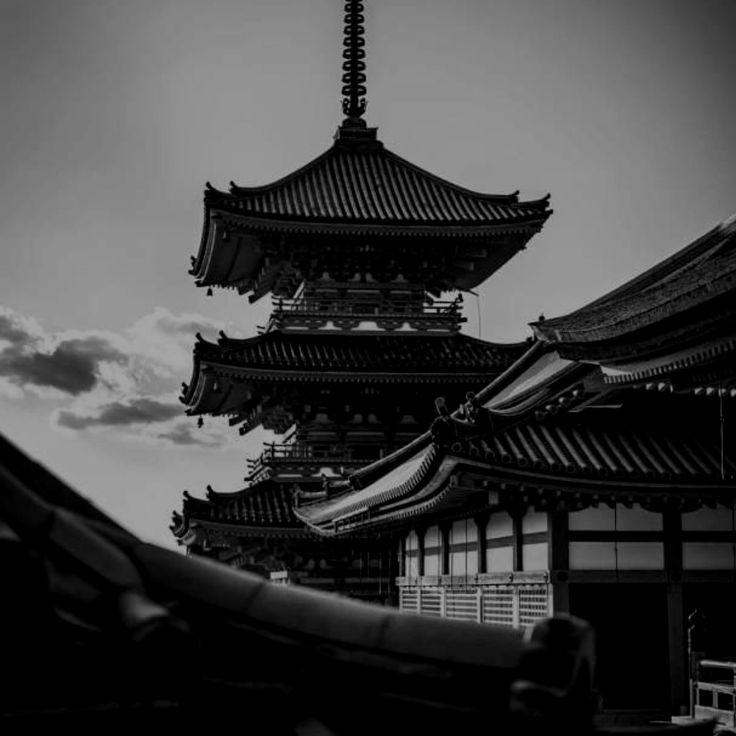 吸 tweet media