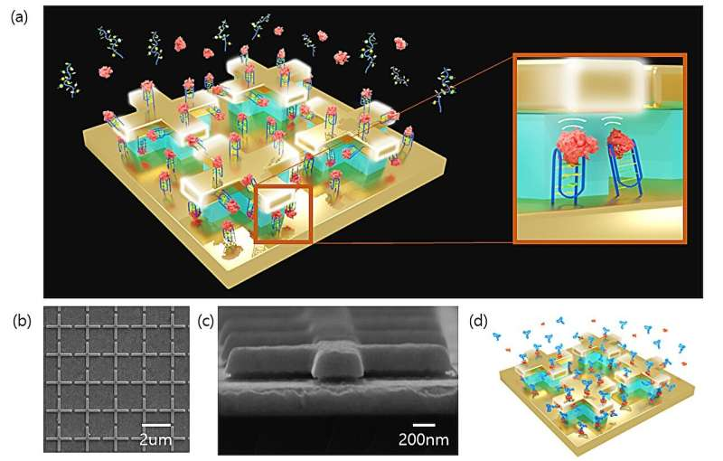 Bsbe2024's tweet photo. Novel biosensor could enable fast, precise disease diagnosis and prevention read more at: https://t.co/Peu3PWRZGw for more related information join at: …https://t.co/vXQJONg9lt #Biosensors #BioGas #Biotechnology #electronics https://t.co/7coWJaxCCQ