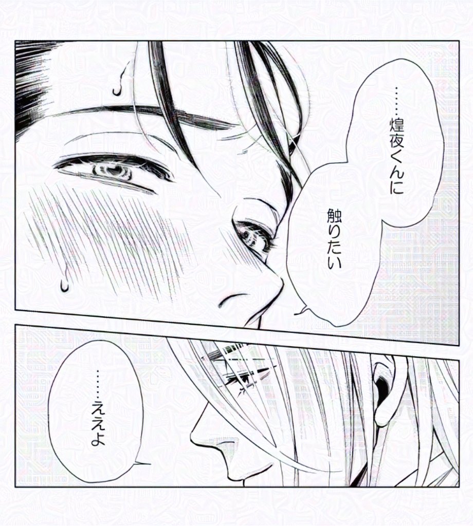 @ksk_zatta ※注:煌夜くんって呼ばれてる方(白い髪)が攻です 