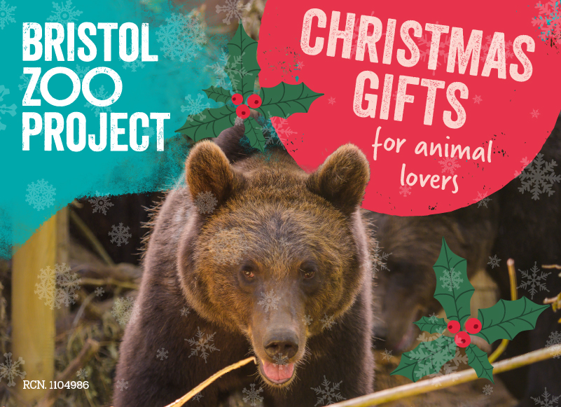 CHRISTMAS GIFTS 🎁

We've got...
🎁 Animal adoptions
🎁 Gift memberships
🎁 Animal experiences
...and more!

Treat a loved one this festive season with an amazing gift that really makes a difference 💚

Shop now at bristolzoo.org.uk/christmas-gifts
