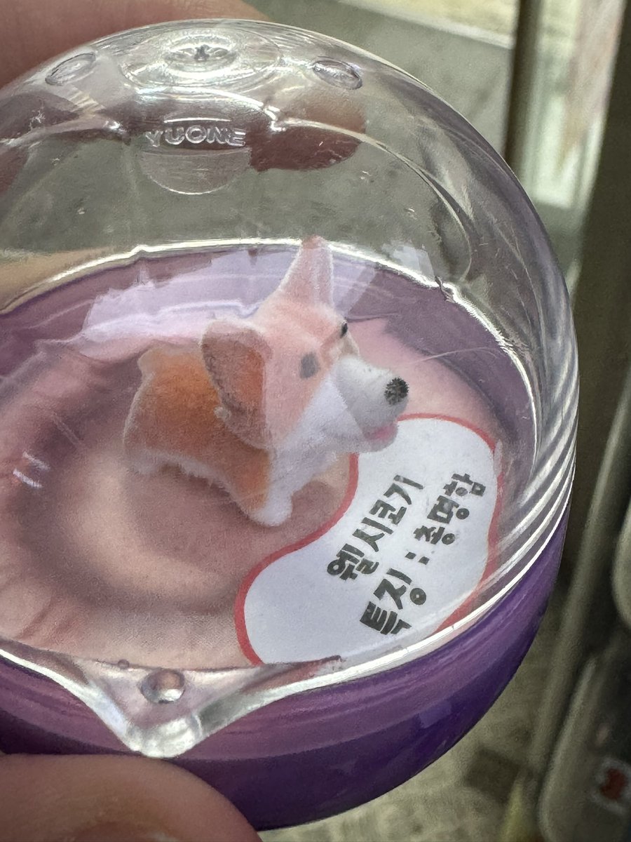 하
중안부 정병 와..
태어나서 처음으로, 바로 지금.