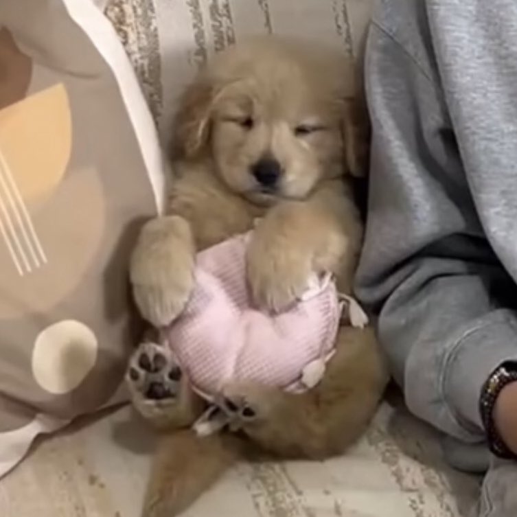 takemybear 🐶 tweet media