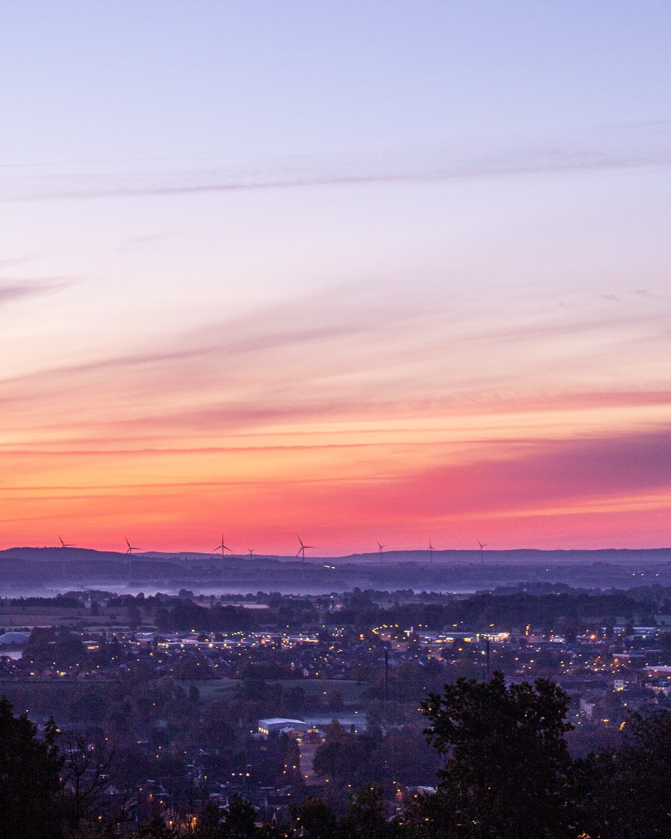 Cederfjärd tweet media