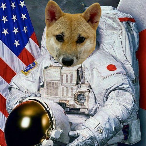 PochitaOGsol's tweet photo. @RadarHits Pochita now identifies as a U.S. company. https://t.co/j65ZkaPFNu