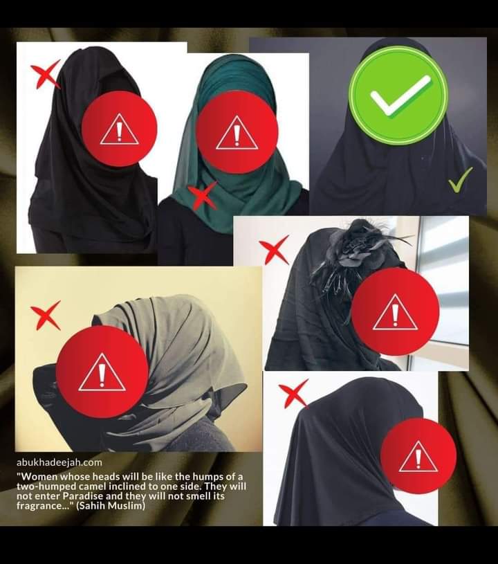 The Salafi Quotes tweet media