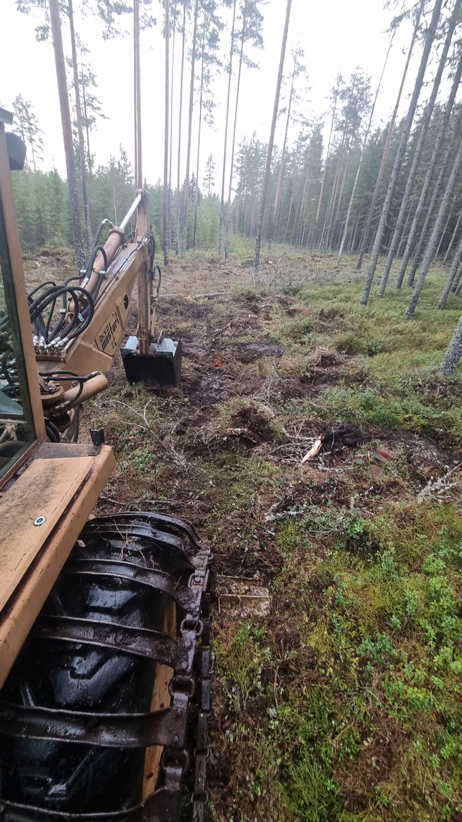Tommi Hakala 🌲🌳 tweet media