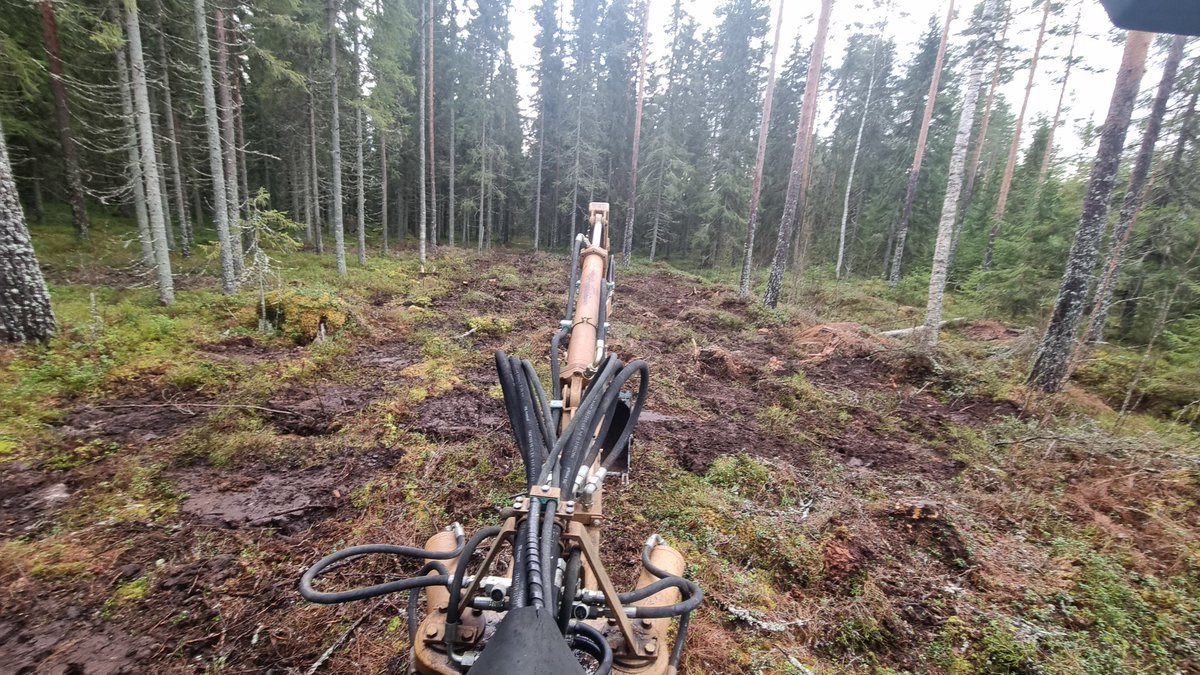 Tommi Hakala 🌲🌳 tweet media