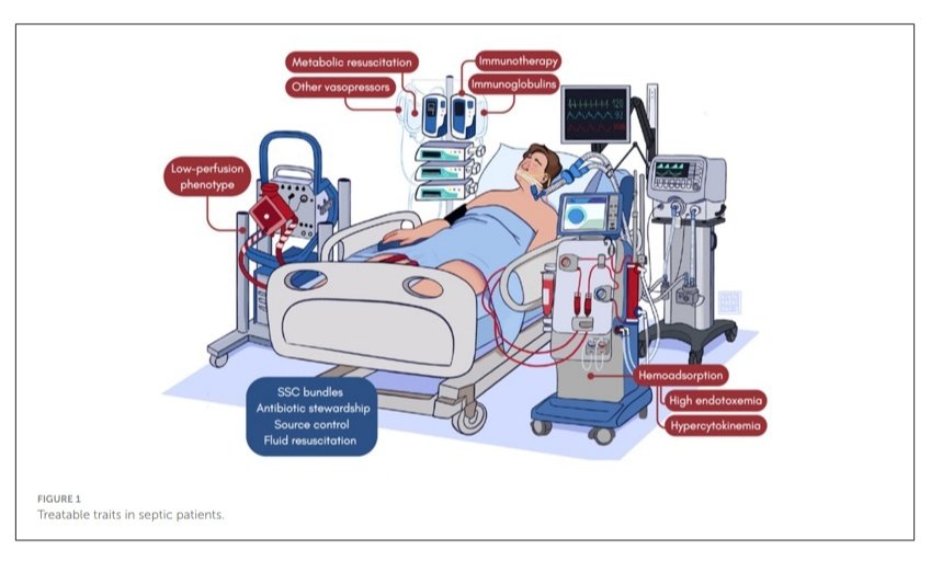 Leo_Santo5's tweet photo. 💎 Actualidades en el Manejo de la Sepsis y Shock Séptico 🦠 

📖Definiciones
🖇️Fenotipos
🧬Fisiopatología
💉Resistencia a Catecolaminas

🔰📚Frontiers in Medicine 2024

DOI 10.3389/fmed.2024.1431791

Enlace a Artículo Completo 👇🏽🆓✅https://t.co/xumUMHaxVK https://t.co/AhlHRc18a3