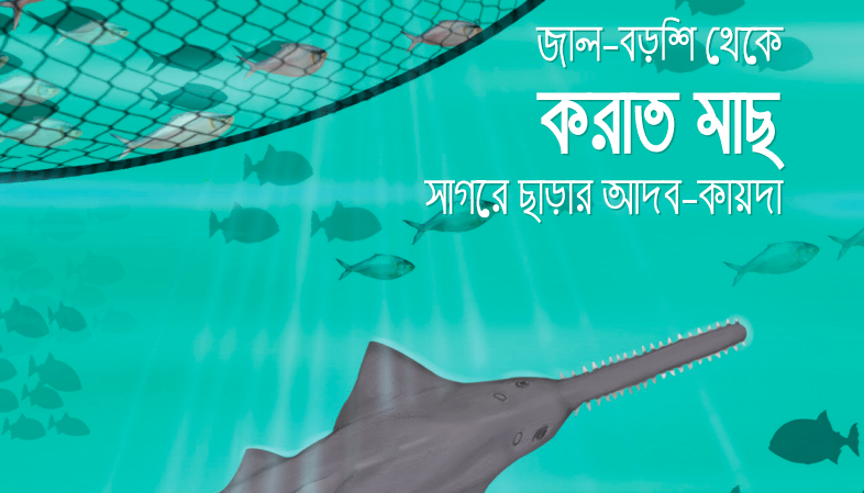 NituFahmida's tweet photo. I once contributed to the Visual Guidebook to Release Sawfish, a resource designed to support artisanal and trawl fishing communities in the #BayofBengal.  https://t.co/yCTIUVyDod
https://t.co/DGg4YzSv4o https://t.co/uzPJmAf0UM