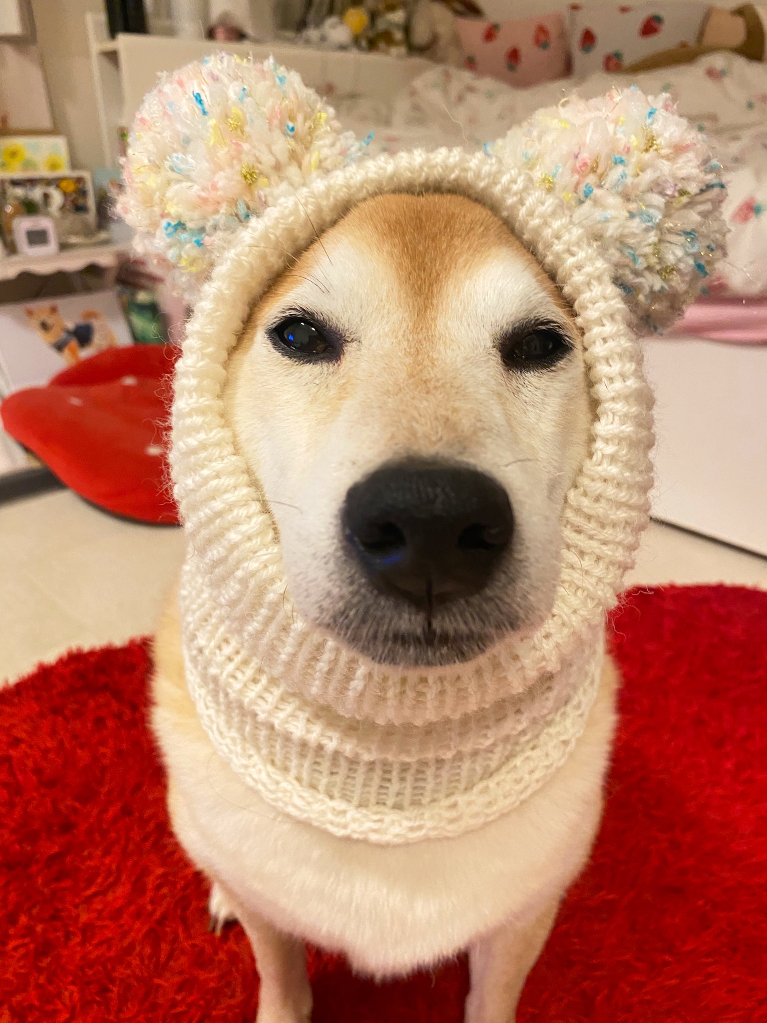 最安値。早い物勝ち！ まとめ売り⭐︎おまけAR14枚 今日の戦利品 - Cerca / X