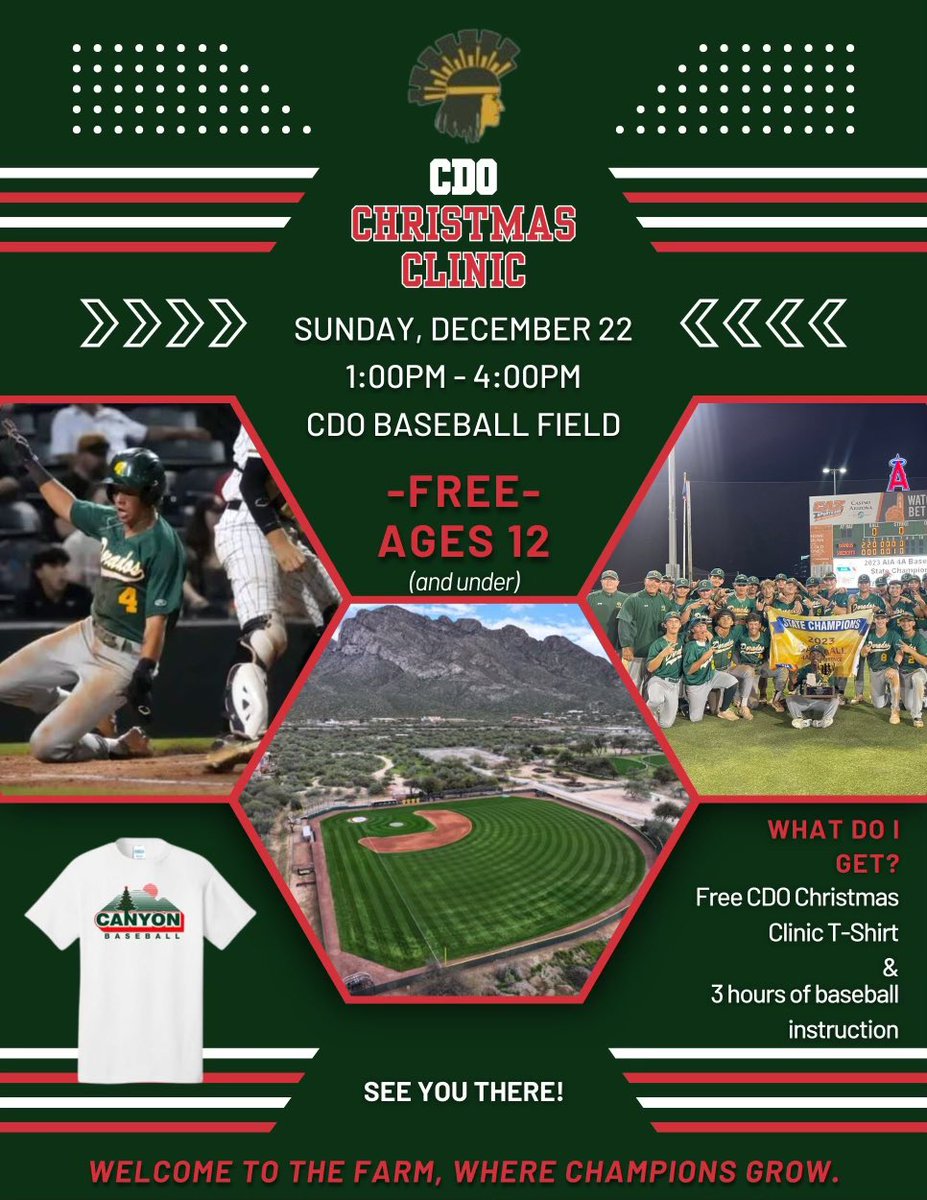 CDO Baseball tweet media