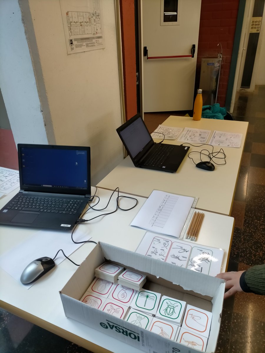 Yesterday #LLAMlab participated in the Sant Albert Day event with an engaging activity where we explored fascinating topics like metacommunities, habitat colonization, abiotic filters &amp; predation #scienceoutreach #ecology #santalbert #udg