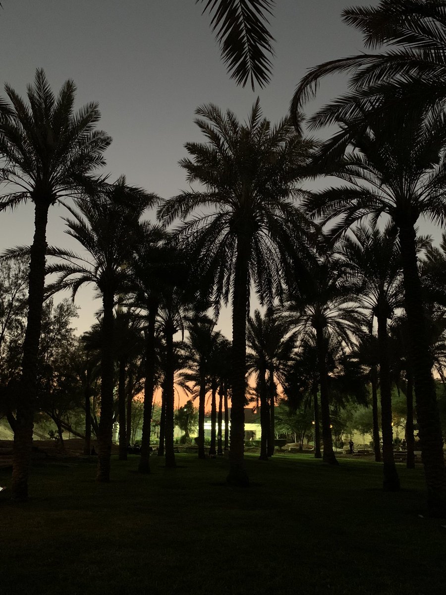 تأسرني دائم لحظة الغروب☁️🌼