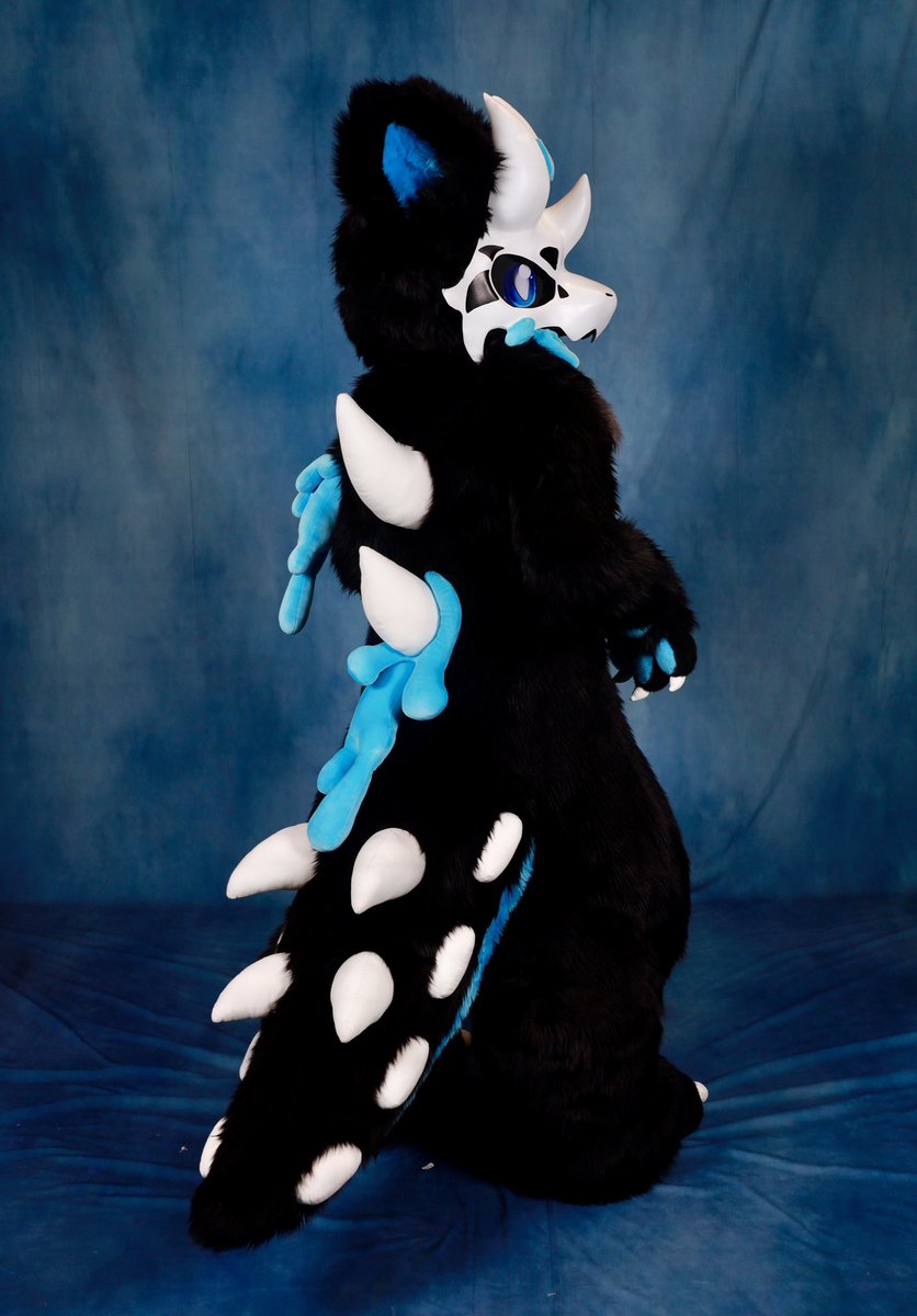 Did the photographer get their good side? 🤔

#furry #fursuit