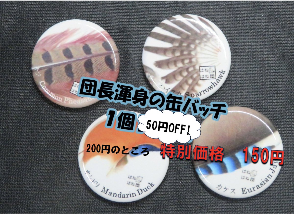 hanehane_dan's tweet photo. はねはね団では #大阪自然史フェスティバル2024　においてはねみくじを無料で開催しています。 はねみくじを引いてくださった方ははねはね団の限定クッズを最大300円オフの特別価格で購入することができます。  ぜひ、ブースA-2にお越しいただき、はねみくじのあとはグッズをお買い求めください！ https://t.co/PAQ0xuTXIZ
