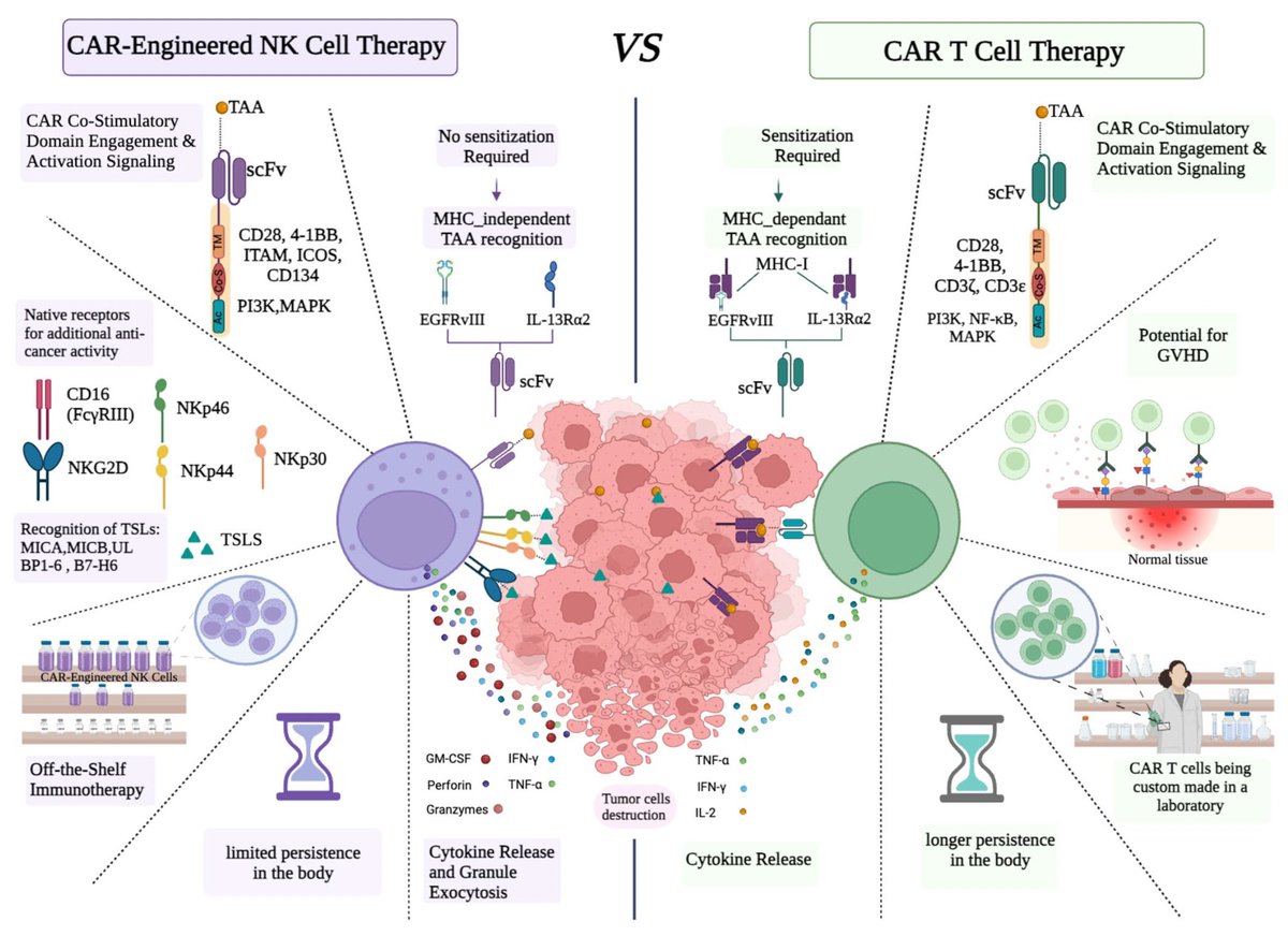 Mohammadmahdi Sabahi (@m_m_sbh) on Twitter photo Get the latest insights! Our review in <a href="/JNeurooncol/">Journal of Neuro-Oncology</a> provides an in-depth look at CAR-engineered NK & CAR T cells in glioblastoma treatment.🧠🧪🔬
🔗link.springer.com/article/10.100…
#Glioblastoma #Immunotherapy #CancerResearch #NeuroOncology #Oncology Get the latest insights! Our review in <a href="/JNeurooncol/">Journal of Neuro-Oncology</a> provides an in-depth look at CAR-engineered NK & CAR T cells in glioblastoma treatment.🧠🧪🔬
🔗link.springer.com/article/10.100…
#Glioblastoma #Immunotherapy #CancerResearch #NeuroOncology #Oncology