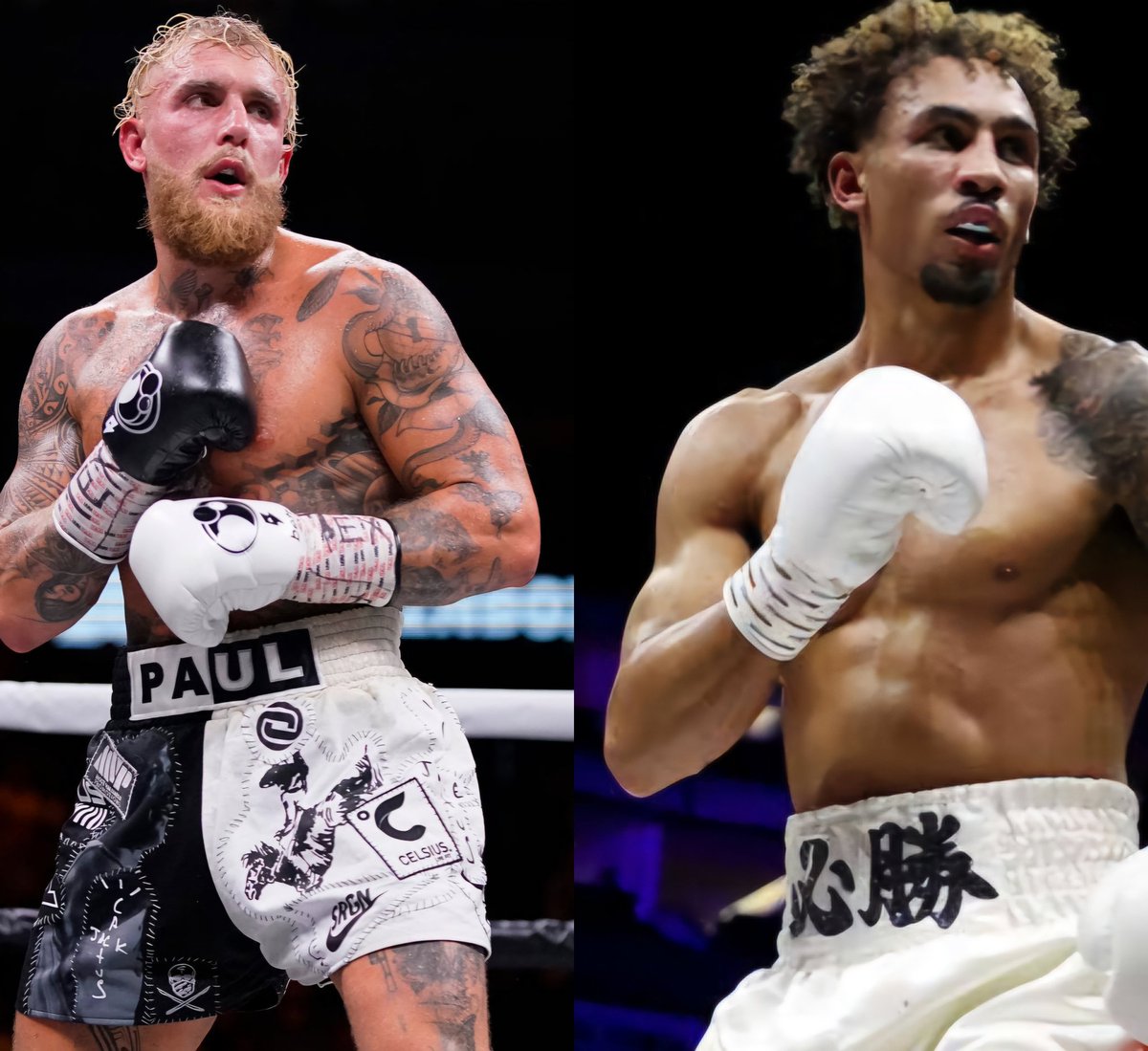 7heWareHouse's tweet photo. Honestly, give me Jake Paul vs. Ben Whittaker. https://t.co/pNU9fhQUh7