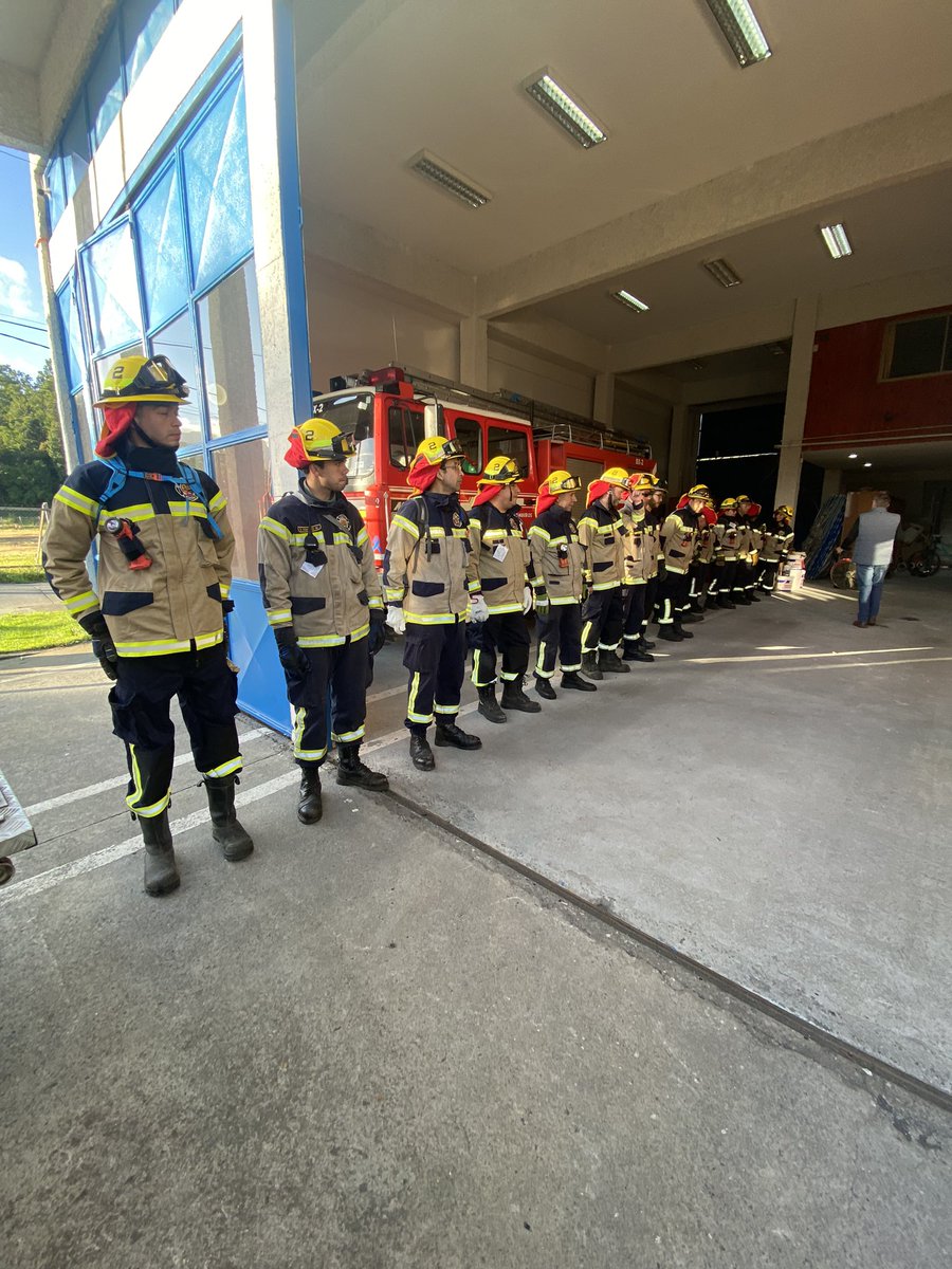 Unidad Forestal Pucón ( Rukapillan) tweet media