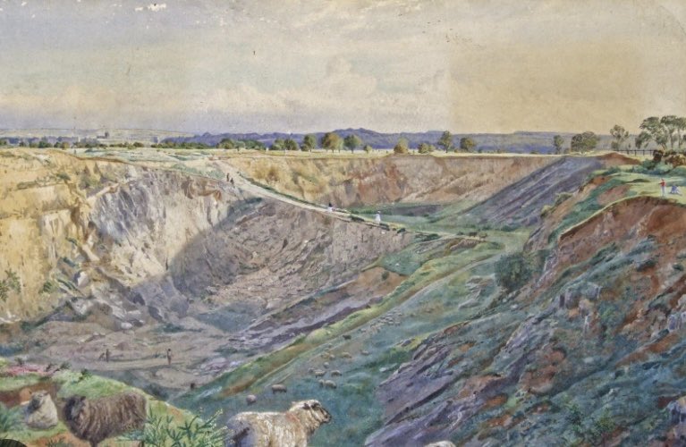 I loved <a href="/mrraybarnett/">Ray Barnett</a> ‘s talk at <a href="/mshedbristol/">M Shed</a> yesterday ! Amazing to see how Bristol has changed over time, and how insects have shifted alongside it. Who knew that there was a huge quarry on durdham downs ?? Certainly not me ! 🐜🚜