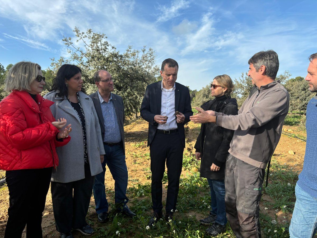 Agricultura (@agriculturacat) on Twitter photo Destinem 5,5 M€ a 114 projectes de transferència de coneixements que proposen innovacions per al sector agroalimentari i forestal
📍 El conseller <a href="/oscarordeig/">Òscar Ordeig</a> ha visitat la finca experimental de producció de tòfona negra de Maials
Més informació 👉 govern.cat/salapremsa/not… Destinem 5,5 M€ a 114 projectes de transferència de coneixements que proposen innovacions per al sector agroalimentari i forestal
📍 El conseller <a href="/oscarordeig/">Òscar Ordeig</a> ha visitat la finca experimental de producció de tòfona negra de Maials
Més informació 👉 govern.cat/salapremsa/not…