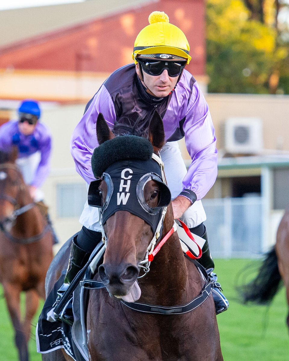 PerthRacing's tweet image. Baby is back! 💥 Baby Paris reminded everyone of her ample ability with a dominant display in today’s Listed $125K Jungle Mist Classic (Race 9-1200m). ✨

A star since her 2YO season the now 5YO gave nothing a chance, leading all the way for Troy Turner, who booted home another…