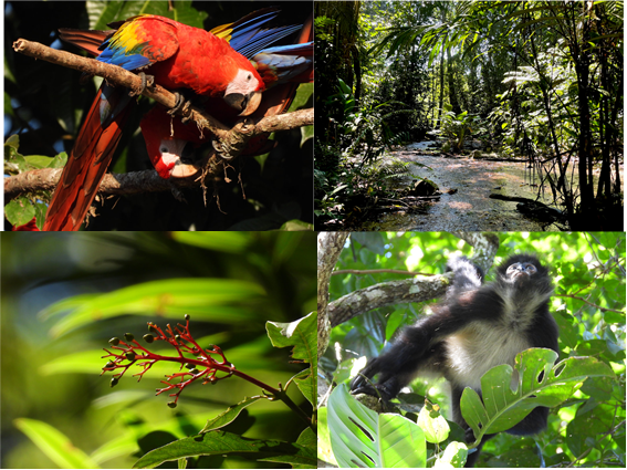 Xoaquín Moreira tweet media