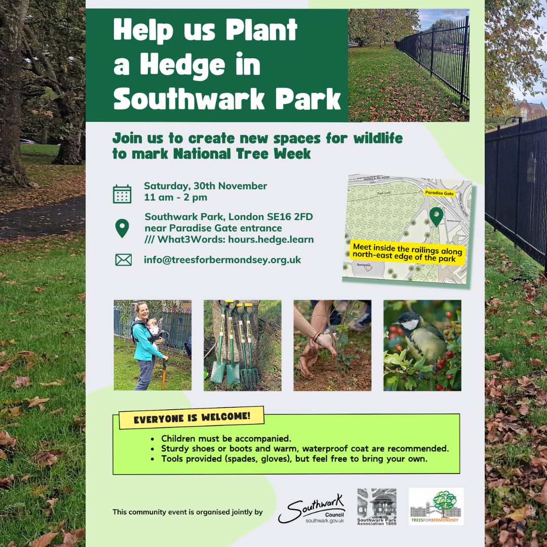 Trees For Bermondsey (@bermondseytrees) on Twitter photo We're planting a hedge in Southwark Park for #nationaltreeweek. Come and join us on Saturday 30th November <a href="/TheTreeCouncil/">The Tree Council</a> <a href="/lb_southwark/">Southwark Council</a> mailchi.mp/432ca025a939/j…... We're planting a hedge in Southwark Park for #nationaltreeweek. Come and join us on Saturday 30th November <a href="/TheTreeCouncil/">The Tree Council</a> <a href="/lb_southwark/">Southwark Council</a> mailchi.mp/432ca025a939/j…...
