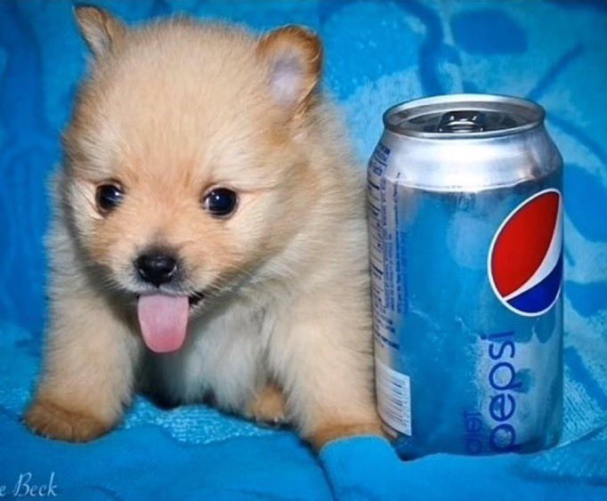 ᅠ ᅠ ᅠ ᅠ ᅠ ᅠ ᅠ ᅠ ᅠᅠ ᅠ 𝒹ᵃᵉ𝐧𝐲𝐬 ᅠ ᅠ ᅠ ᅠ ᅠ ᅠ ᅠ ᅠ ｡✿ (@fusillaude) on Twitter photo 