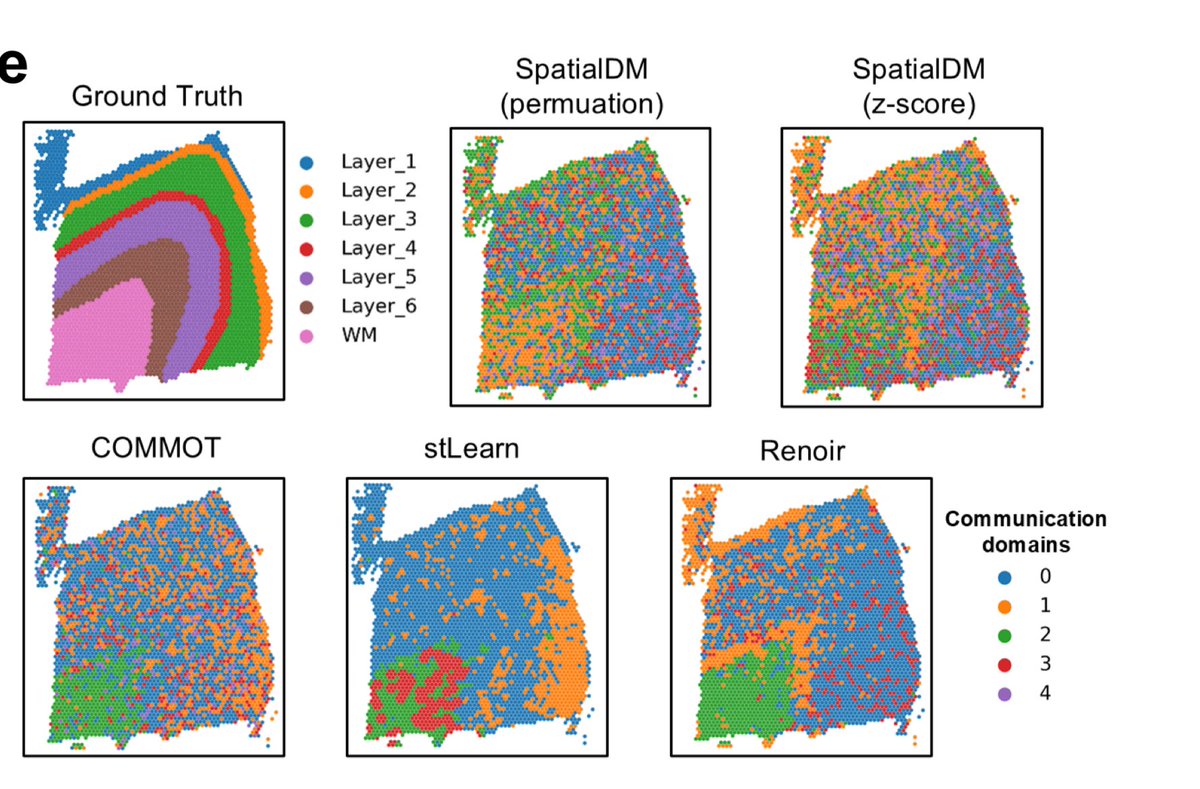 asharmaiisc's tweet image. Excited to share updated Renoir @biorxivpreprint with @Quasarzafar to predict spatial cell-cell interactions

- Benchmarking data 
- Applicability on SMI (CosMx @brukerspatial) data 
- Identification of stem-like MUC6 cancer cells in oncofetal niche 

biorxiv.org/content/10.110…