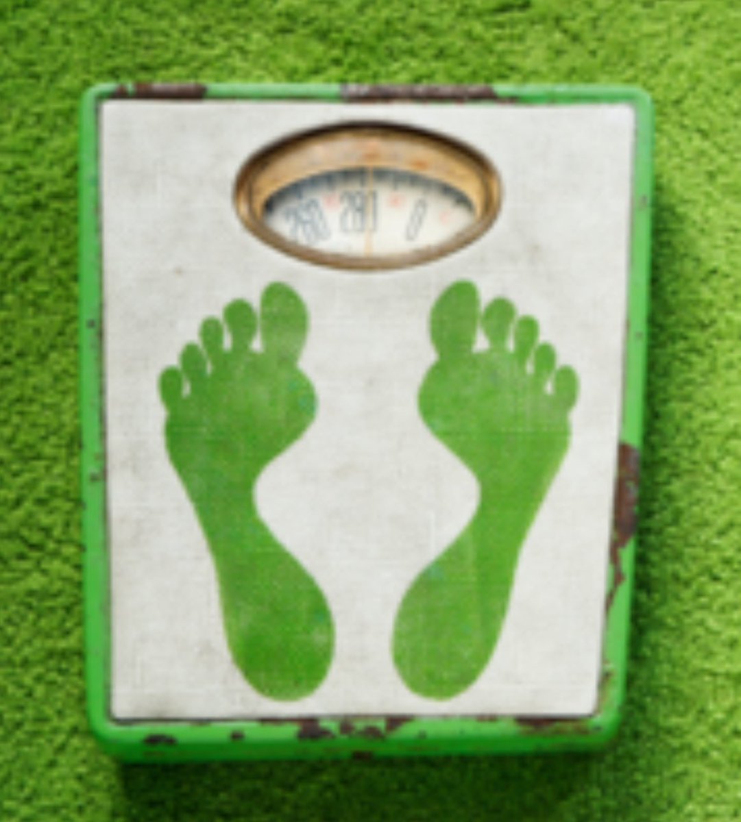 LCHF Style tweet media