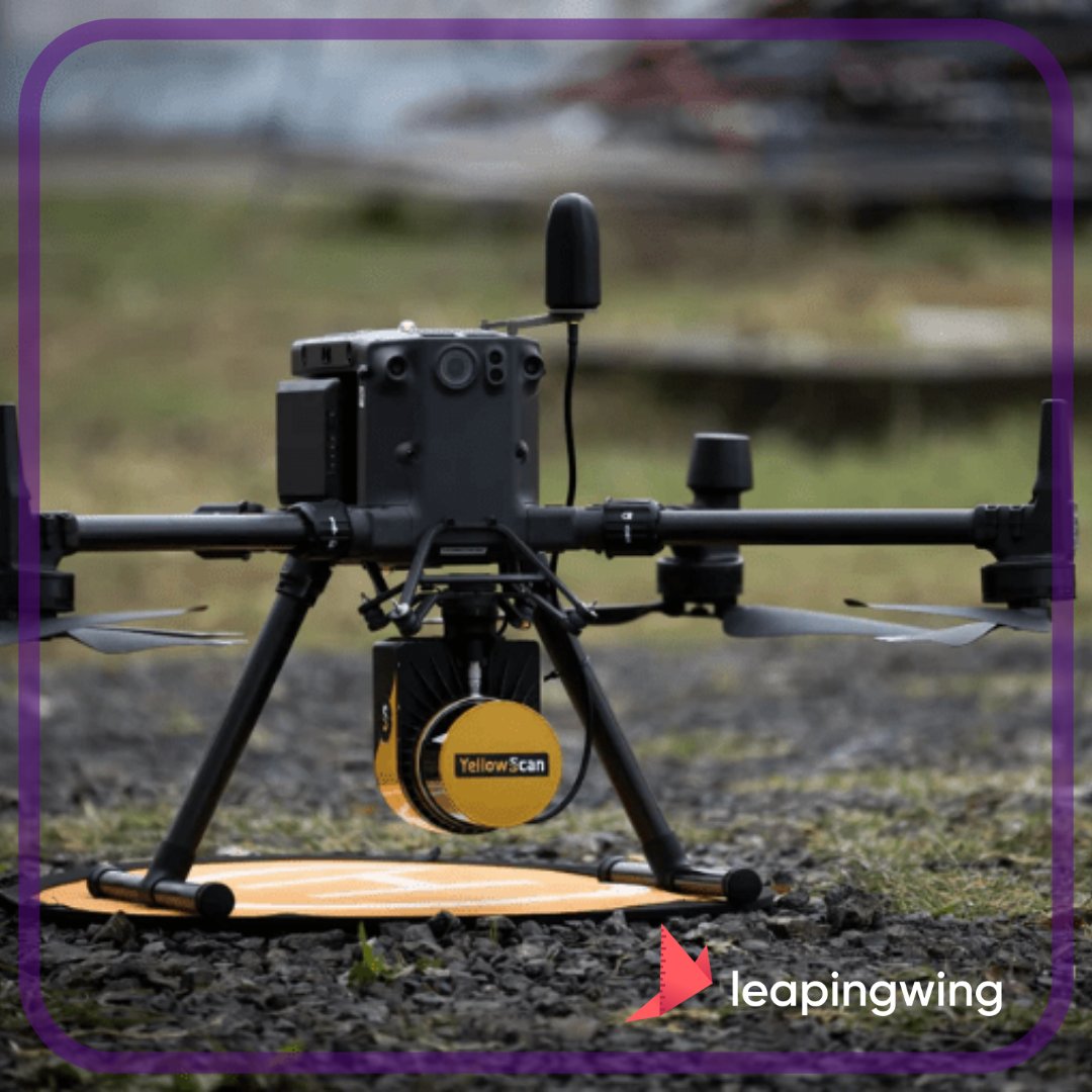 leapingwing tweet media