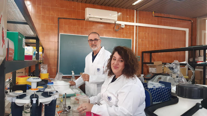 UniversidadAnd's tweet image. 🔬Investigadores andaluces demuestran los beneficios de una comunidad bacteriana contra el cambio climático en el tomate

🍅 La herramienta protege a la planta contra el calor, tiene financiación de @UniversidadAnd y se pone a disposición del agricultor ➡️ lajunta.es/571c9